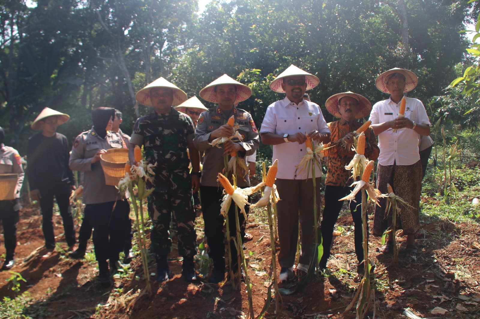 Kapolres Kudus Bersama Forkopimda Hadiri Panen Raya Jagung Serentak Kuartal II di Desa Menawan