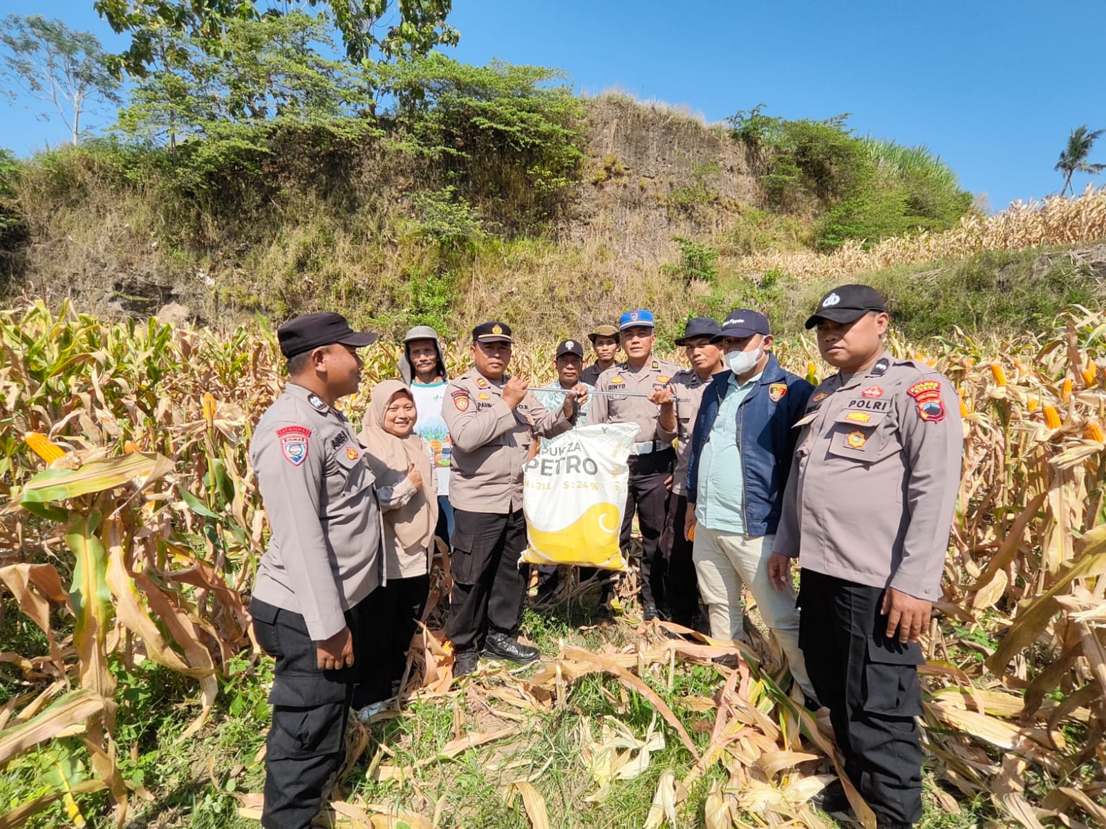 Dukung Swasembada Pangan, Poktan Wonorejo Panen 1,2 Ton Jagung di Jekulo Kudus
